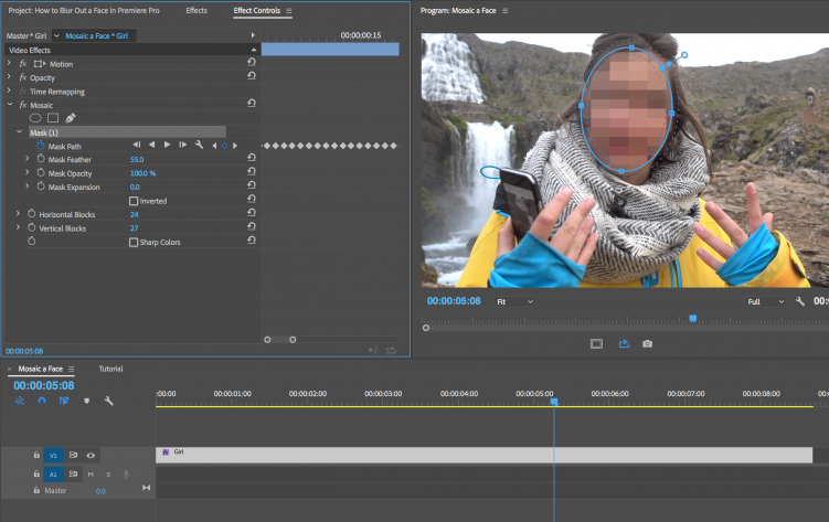 Need to Blur a Face in Premiere Pro? Here's How You Do It — Track Mask