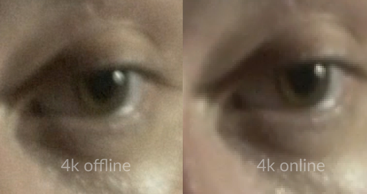 Is Downscaling 4K to 1080p Worth It After Online Compression? — 4K Comparisons
