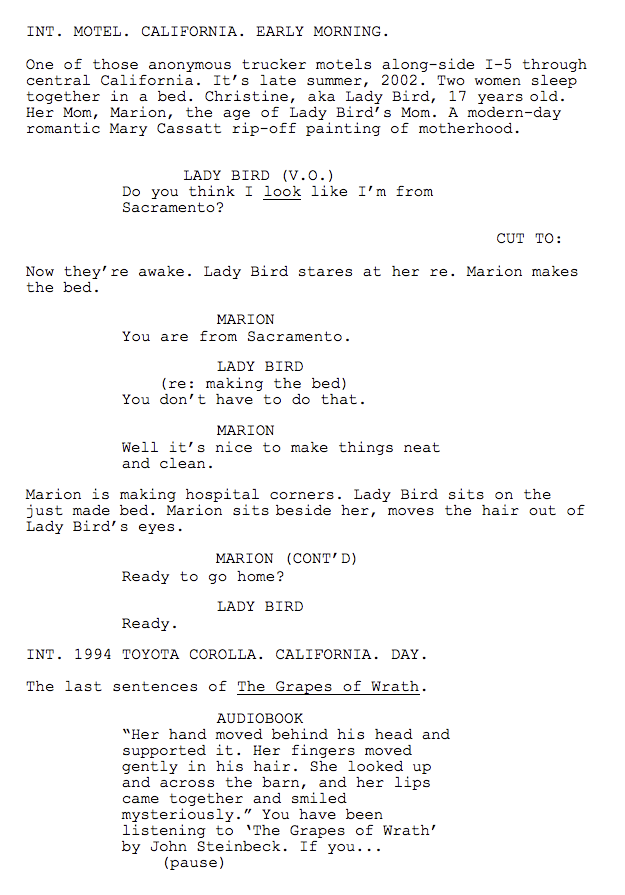 Filmmaking Lessons from Oscar-Nominated Directors — Lady Bird