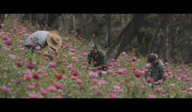 Interview: Showtime Docuseries Cinematographer from The Trade