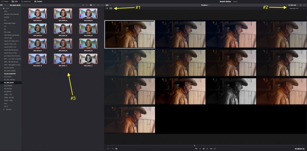 Everything You Need to Know About the LUT Browser in DaVinci Resolve 15 — Previewing LUTs