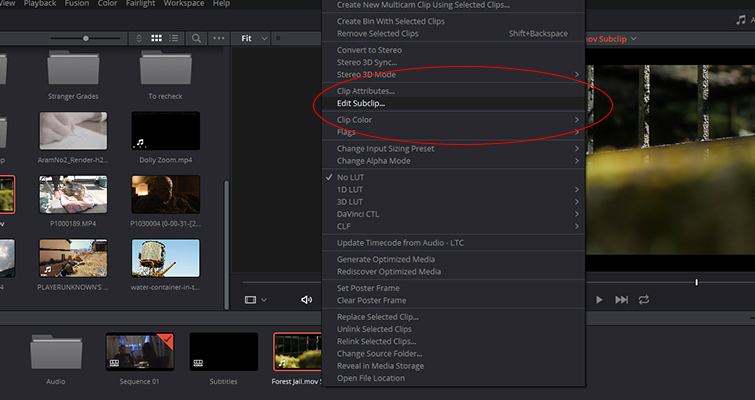The New Features of DaVinci Resolve 15's Edit Page — Create Subclips
