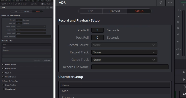 Video Tutorial: How to Configure The ADR Panel in Resolve 15 — Sub-Panels
