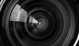 Buyer’s Guide: The Best Macro Lenses on the Market