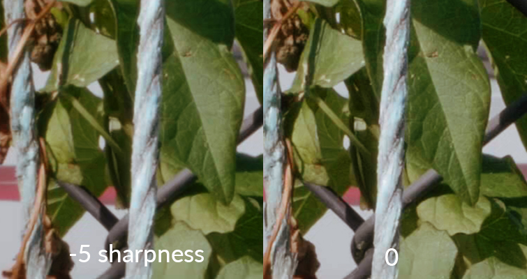 How to Soften Your Sharp 4K DSLR Video Footage — Sharpness Difference Up Close