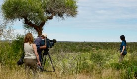 Does Documentary Filmmaking Always Have to Be Serious?