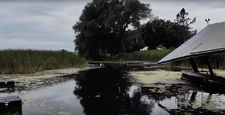 8 Flight Tips to Make Your Drone Footage More Cinematic — Fly Backward