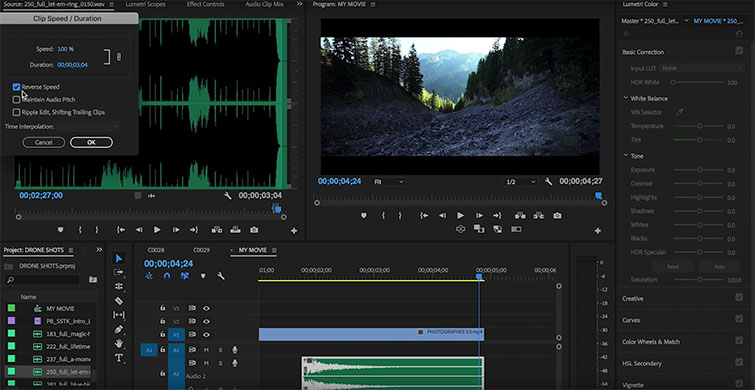 Video Tutorial: The Audio Transition You Need to Start Using — Reverse Clip