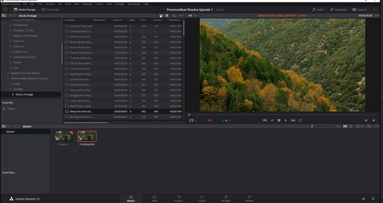 DaVinci Resolve 15 Video Crash Course — The Media Page — Importing Media DaVinci Resolve 15 Video Crash Course — The Media Page — Importing Media