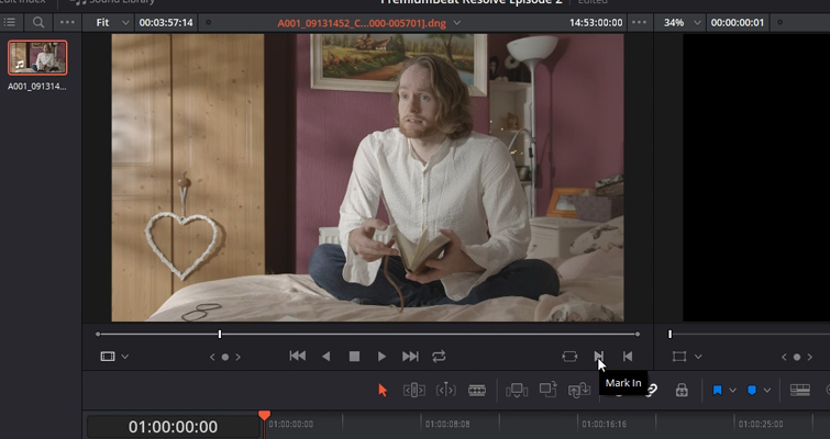 DaVinci Resolve 15 Video Crash Course — The Edit Page — Source Viewer