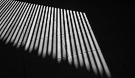 In the Shadows: The Changing Nature of Horror Music