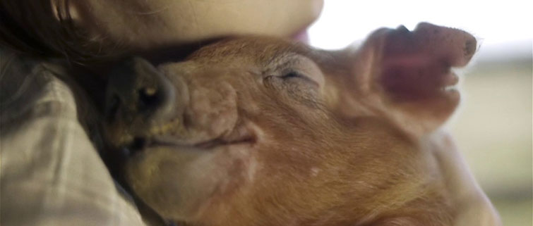 5 Advantages of Self-Distributing Your Next Feature Film — Retaining Distribution Rights 5 Advantages of Self-Distributing Your Next Feature Film — Retaining Distribution Rights