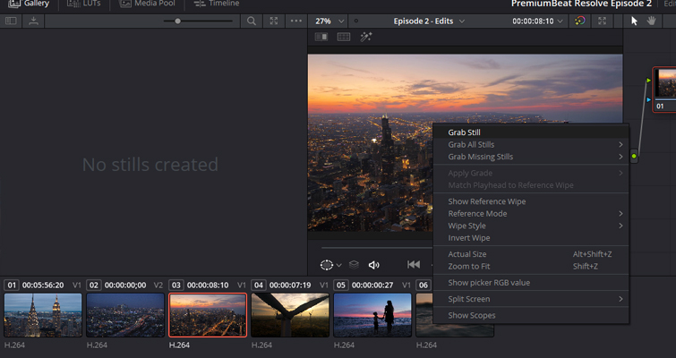Screenshot of how to "grab still"
