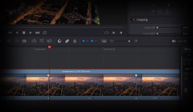 Quick Tip: Creating Stills and Pauses In Resolve 15