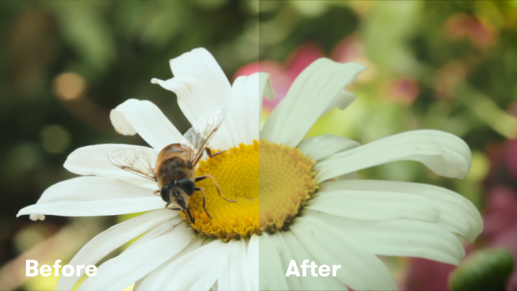 How to Create the VHS Look in Premiere Pro + Free VHS Effect Presets — Lumetri Color Before and After How to Create the VHS Look in Premiere Pro + Free VHS Effect Presets — Lumetri Color Before and After