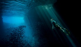 Insights into the Cinematography of the Award-Winning Docuseries "Tales By Light"