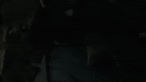 How To Rotate Your Footage 180 Degrees Without A Multi-Axis Rig — End Result