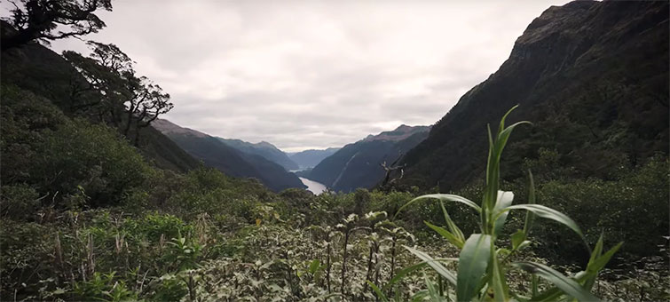 The Creative Motivation Behind Deep vs. Shallow Depth of Field — Deep Depth of Field