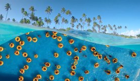 Make Your Cuts Shine with Royalty-Free Transition Music