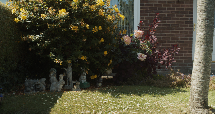 BMPCC4K Tips: The Difference Between Using Constant Bitrate Vs. Constant Quality - BMD RAW