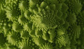 CGI, 3D Scans, and Live Action with the Image Creators at Saddington Baynes