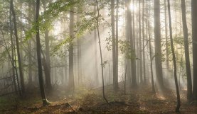 The Right In-Air Diffusion for Your Project: Haze vs. Fog vs. Smoke