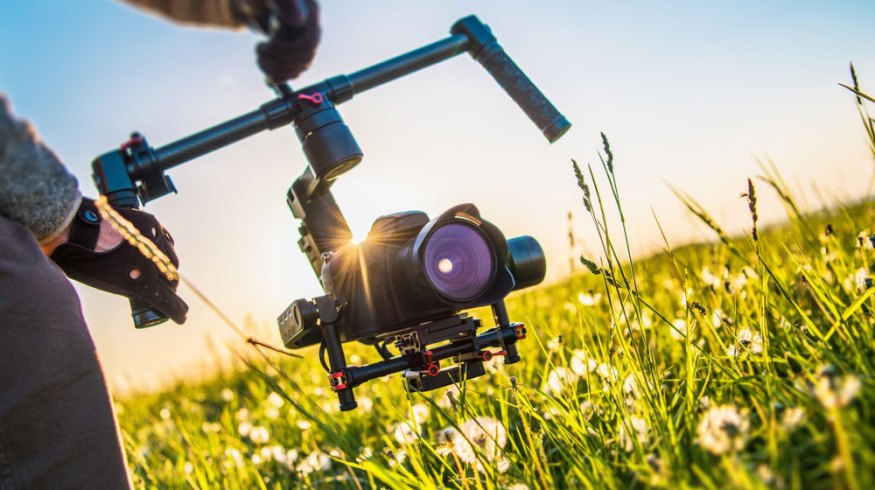Nature's Lighting: A Guide on Shooting With or Against the Sun