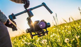 Nature's Lighting: A Guide on Shooting With or Against the Sun