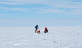 Grant Korgan and "The Push" on Owning Your Own Reality