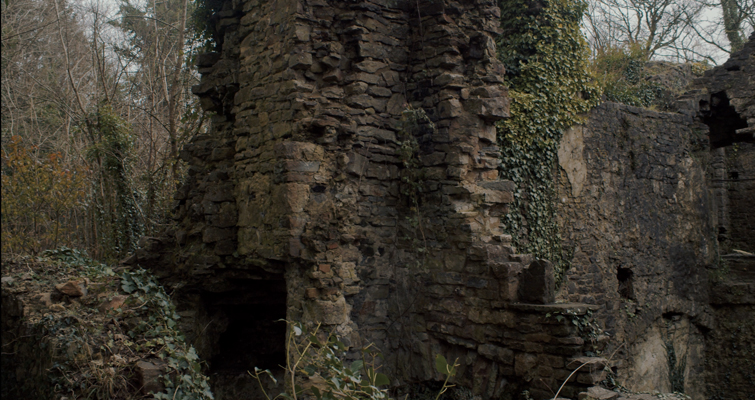 Castle in the Forest