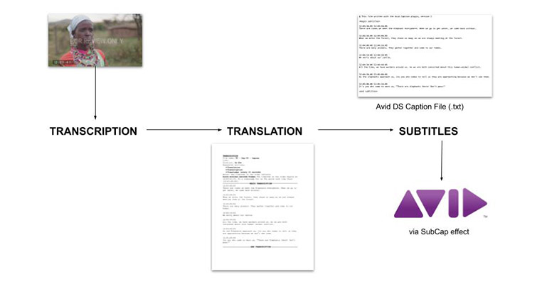 The Subtitling Process