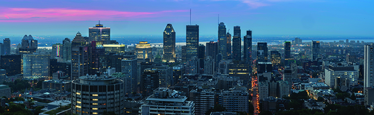 Collaborate with Vincent Tone 