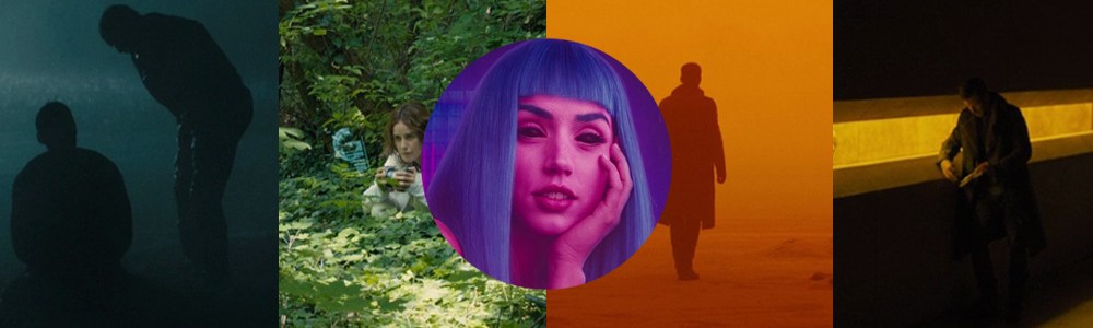 Finding Symmetry and Color in a Dystopian Future