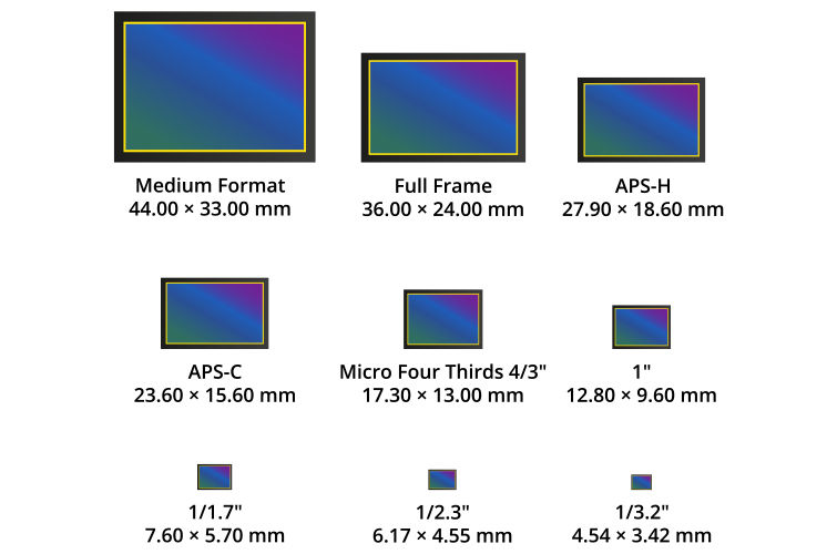 Size Differential Size Differential
