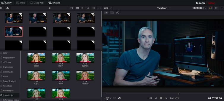 Screenshot of the Memories window in DaVinci Resolve