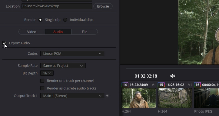 Screenshot of how to deselect the Export Audio box