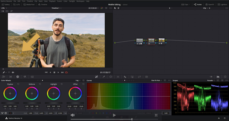 DaVinci Resolve: Select the Grass Area DaVinci Resolve: Select the Grass Area