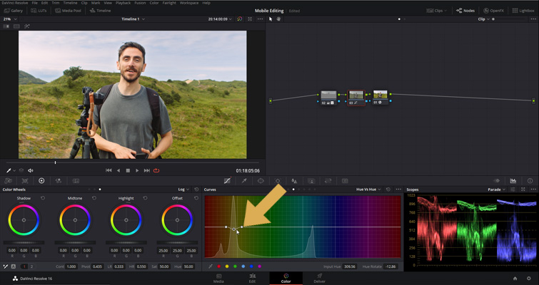DaVinci Resolve: Hue Curve DaVinci Resolve: Hue Curve