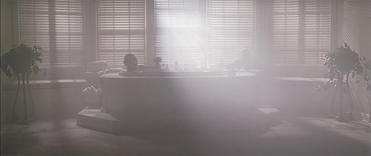 American Beauty Scene