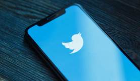 Instead of Film School, Maybe Just Get on Twitter?