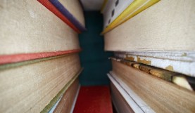 Is It Worth Buying a Probe Lens in 2022?