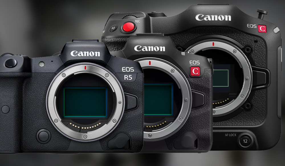 The R5 vs. R5 C vs. C70: Comparing Canon's (Very) Similar Cameras