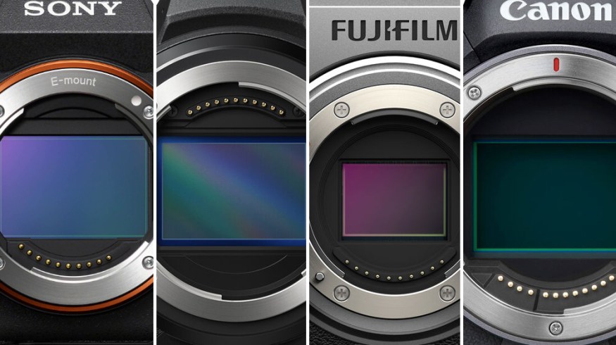 The Best Mirrorless Cameras Under $5000: A Complete Guide