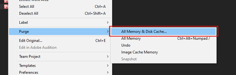 Screenshot of how to purge RAM memory