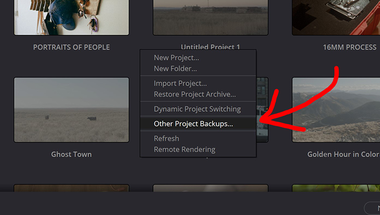 Screenshot of Other Project Backups in DaVinci Resolve