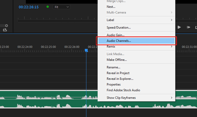 Screenshot of how to select audio channels
