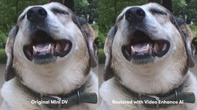 Use AI to Enhance Your Videos - Restoring Old Videos