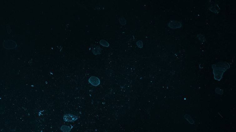 Adding Color to Glass Textures Using the Tint Effect