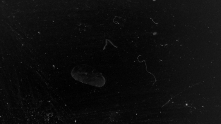 Glass Texture Image Overlay on Black Screen