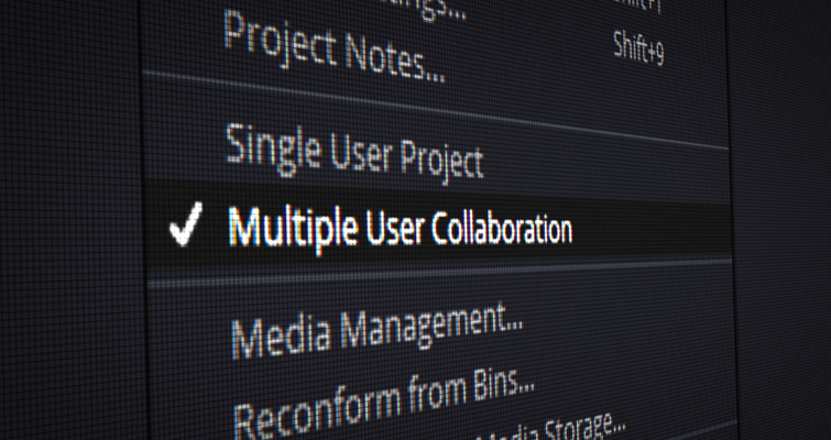 Screengrab from the Blackmagic project manager showing user share options